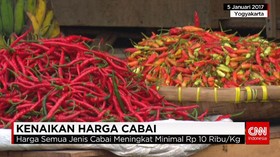 Harga Cabai Semakin Pedas