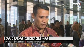 Kenaikan Harga Cabai