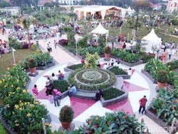 Healing ke Taman Menteng: Fasilitas, Daya Tarik, Event, Sejarah