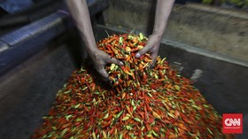 Cabai Rawit Merah Tembus Rp45.300 per Kg, Makin Pedas