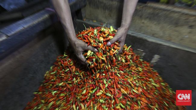 Harga Cabai Rawit hingga Bawang Merah Naik di Awal Pekan Harga mayoritas komoditas pangan kian mahal pada awal pekan ini, jelang libur Natal dan Tahun Baru.
