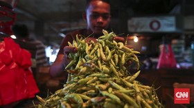 Harga Cabai Rawit di Kaltara Tembus Rp126 Ribu Jelang Ramadan