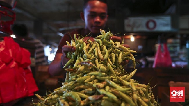 Harga cabai rawit hijau di Kalimantan Utara tembus Rp126 ribu per kg per Rabu (30/3).