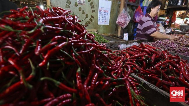 Pedagang cabe merah keriting di pasar Senen, Jakarta, Sabtu, 7 Januari 2017. CNN Indonesia/Adhi Wicaksono.