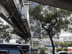 Jorok! Pria Berak Sembarangan di Atas JPO Semanggi Jaksel