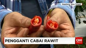 Pengganti Cabai Rawit