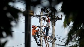 TNP2K Diminta Verifikasi Ulang Pelanggan Listrik 900 VA
