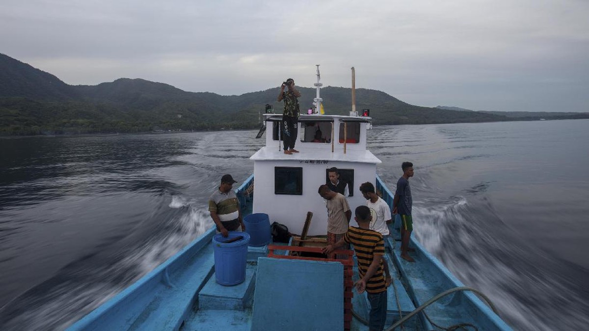 Berkah dari Laut Larantuka