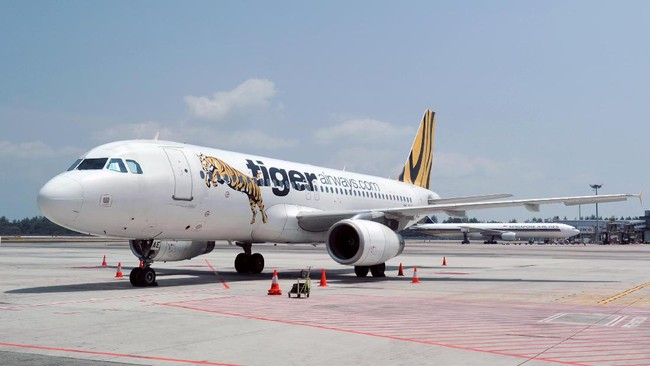 Tiger Air dinilai tak memenuhi aturan main perhubungan udara di Indonesia melalui pesawat carter dari beberapa kota di Australia menuju Bali.