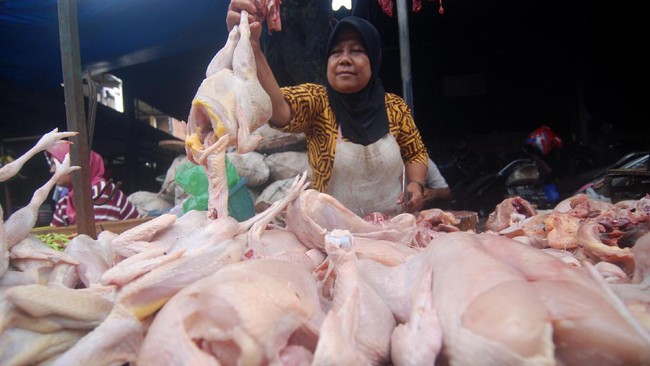 Harga daging ayam di Sumatra Utara (Sumut) terus melonjak tajam dalam beberapa hari terakhir hingga mencapai Rp44 ribu per kg.