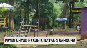 Kondisi Mengenaskan Kebun Binatang Bandung