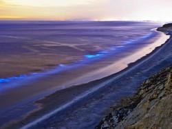 Penemuan Mengejutkan Laut Pantai Selatan Jawa Bercahaya Diungkap Peneliti AS