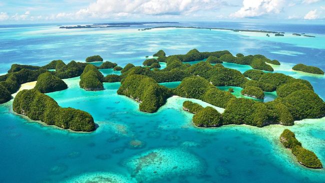 Pemerintah Palau ingin wisatawan datang membelanjakan uangnya tanpa hitung-hitungan. Oleh karena itu, hanya hotel bintang lima yang akan dibangun.