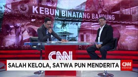 Kasus Satwa Terlantar Di Dalam Kebun Binatang