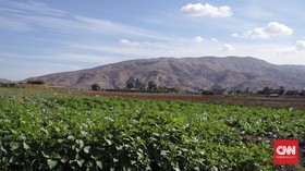 Parlemen Eropa Tolak Rencana Israel Caplok Tepi Barat
