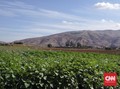 Parlemen Eropa Tolak Rencana Israel Caplok Tepi Barat