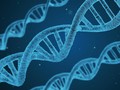 Peneliti Temukan DNA Nenek Moyang Misterius di Manusia