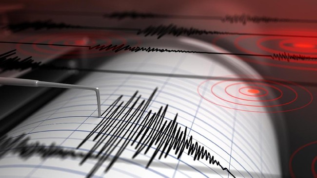 Kepala Badan Geologi Rudy Suhendar menyatakan meski tak sebesar di lokasi gempa, Jakarta akan menerima guncangan, namun masih relatif aman untuk ditinggali.