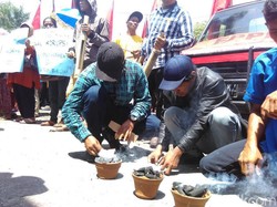 Berasal dari Indonesia, Kemenyan Ternyata Sudah Dipakai Sejak Zaman Nabi