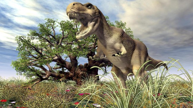 Tim peneliti dari University of Manchester asal Inggris menemukan bahwa T. Rex tak bisa berlari