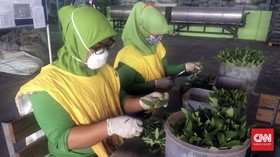 RI Patenkan Anti Virus Corona, Disebut Bisa Untuk Covid-19