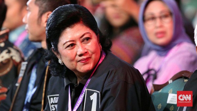 Wasekjen Demokrat Andi Arief mengucapkan terima kasih kepada Presiden Joko Widodo yang telah memberikan perhatian saat Ani Yudhoyono sakit.