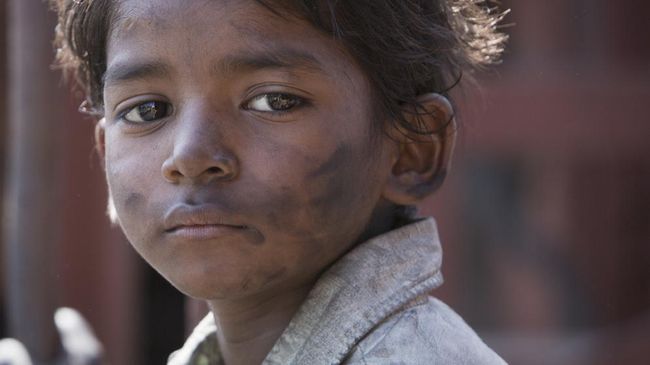 Lion, film nomine Oscar 2017 sudah bisa ditonton di bioskop Indonesia. Dari Indonesia, ada nomine FFI: Salawaku.