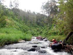 Wisata Sekitar Wilis, Rekomendasi Destinasi untuk Liburan