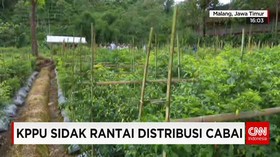 KPPU Sidak Retail Cabai
