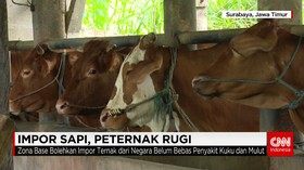 Impor Sapi, Peternak Rugi