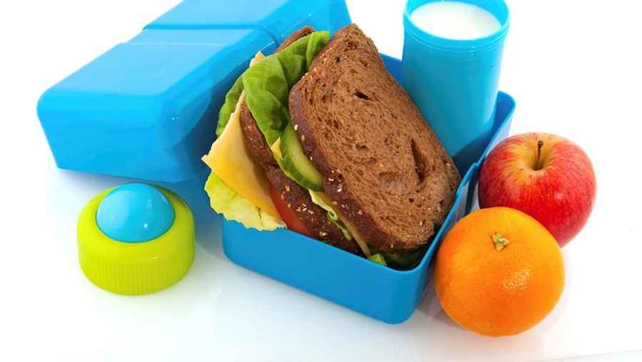 Tips Memilih Wadah Bekal Makanan Anak