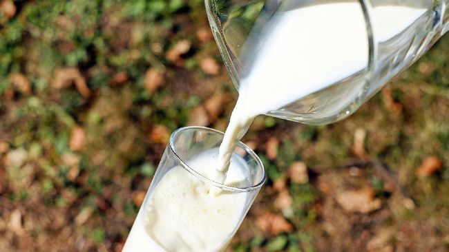 Susu almond dapat menjadi pilihan minuman pengganti susu sapi karena tinggi protein dan rendah kalori. Dapatkan berbagai manfaat minum susu almond.