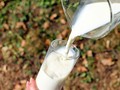 7 Pilihan Susu untuk Diet