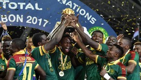 Profil Timnas Kamerun di Piala Dunia 2022