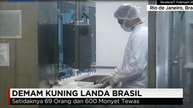 Wabah Demam Kuning Tewaskan 69 Orang di Brasil