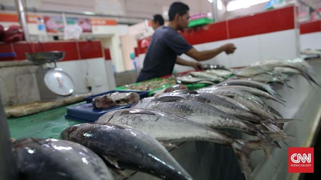 Kementerian Kelautan dan Perikanan mengingatkan pembudidaya di berbagai daerah agar mewaspadai ancaman penyakit terhadap ikan jenis nila dan mujair.