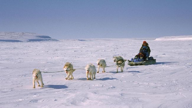 7 Tradisi Natal Unik di Belahan Dunia Natal tak melulu dirayakan dengan makan ayam kalkun. Di Afrika Selatan, ada juga hidangan dari cacing yang selalu muncul menjelang akhir tahun.