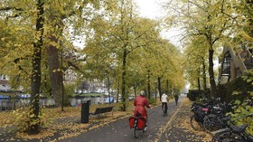 Cerpen: Dear Autumn, Kenangan Musim Gugur