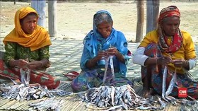 Pengungsi Rohingya di Bangladesh Ambil Kerja Sambilan