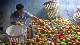 Pariwisata Malang dan Batu Tidak Terdampak Bom Surabaya