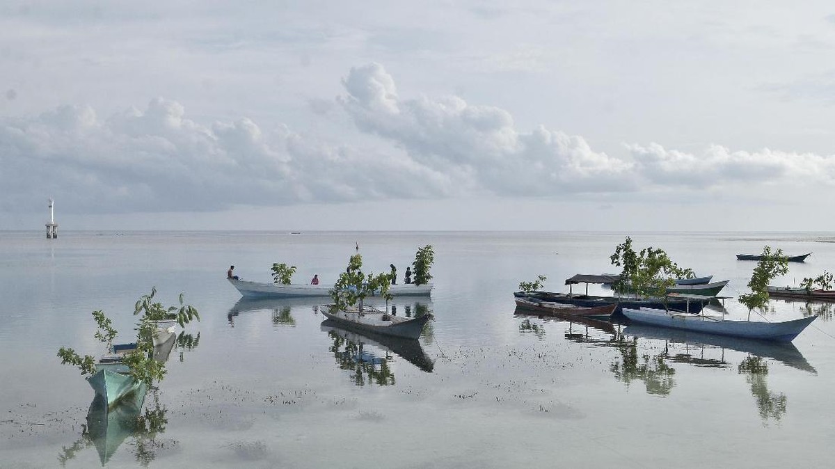 Merawat Laut di Pulau Tomia Wakatobi