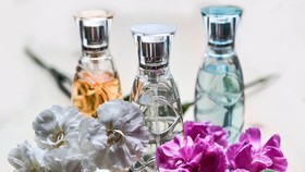 Menebak 10 Kepribadian lewat Aroma Parfum Favorit