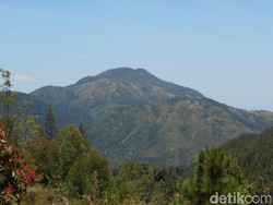 Pendaki Posting Pura-pura Kencing di Tlogo Kuning Gunung Lawu, Relawan Geram