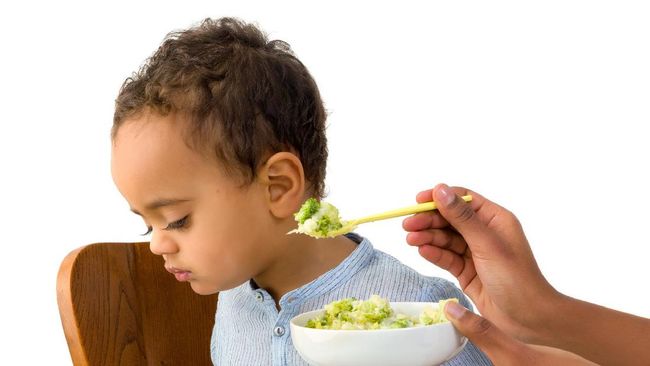 Setelah Umur 1 Tahun Nafsu Makan Anak Kok Agak Berkurang Ya