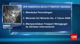Opsi Pemerintah Untuk Freeport