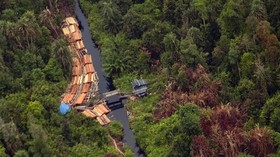 Satgas PKH Kembali Kuasai 2,09 Juta Hektare Hutan, Termasuk Tesso Nilo