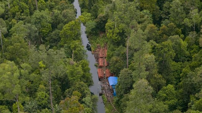 Pembangunan jalan di Suaka Margasatwa Bukit Rimbang Bukit Baling demi pengembangan pariwisata, ditolak oleh Kepala Dinas Pariwisata Provinsi Riau.