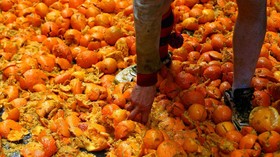 Keseruan Perang Jeruk di Ivrea Italia