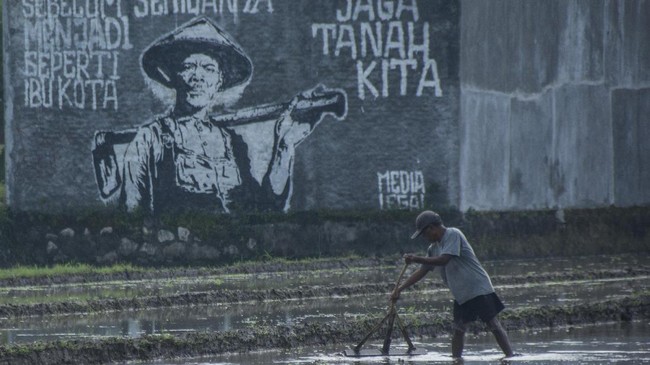 BPS mencatat nilai tukar petani (NTP) naik 1,08 persen menjadi 108,34 pada Desember 2021 akibat dipengaruhui beberapa sektor terutama bidang hortikultura.