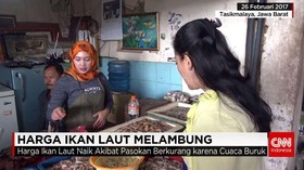 Cuaca Tak Bersahabat, Harga Ikan laut Melambung Tinggi